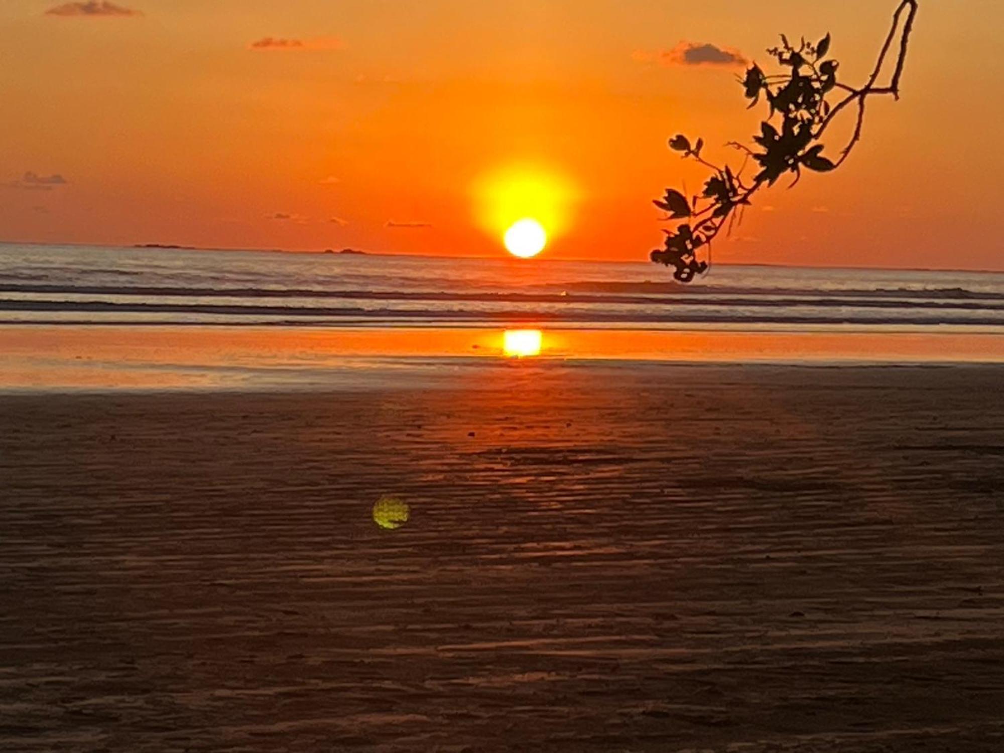 Cabana Valfio Bahia Ballena Uvita Bagian luar foto